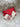 Carte Cadeau Brique Rouge